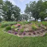 A circular flower bed with colorful blooming flowers, bordered by rocks, graces the grassy yard at Fred Thomas Resort, celebrating 100 years amid shady trees and charming buildings in the background. - Rice Lake Chamber of Commerce