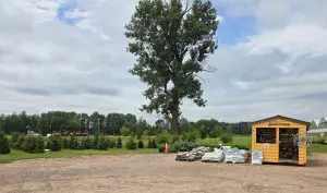 A small wooden shed with gardening supplies in front, a large tree, and a row of tractors from Olsen's Power & Equipment in a rural outdoor setting under a cloudy sky—perfect for this Member Spotlight. - Rice Lake Chamber of Commerce
