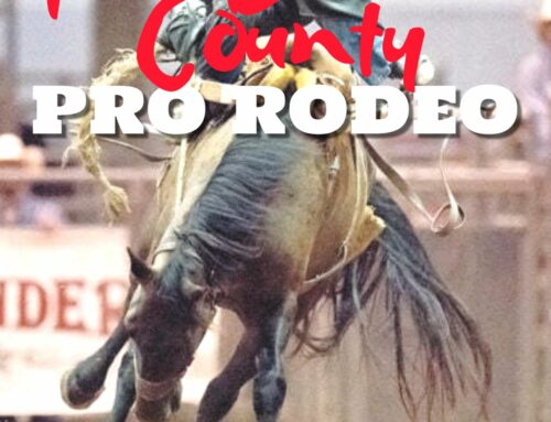 Barron County Pro Rodeo – September 8, 9 & 10th