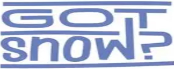 GotSnowScript