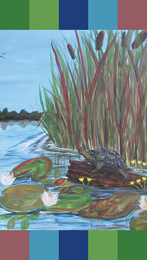 Painting of a turtle on a log in a pond with lily pads, water lilies, and tall reeds; calm water and distant trees under a blue sky. Vertical color blocks frame the image. - Rice Lake Chamber of Commerce